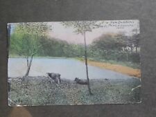 Postcard F48498  South Coventry, CT  View from Dunham's Point  c-1907-1915 picture