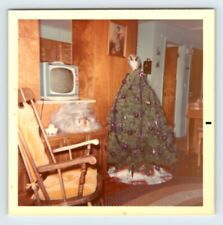 Vintage Photo Christmas Tree Blue Television Set TV 1960's ACR37 picture