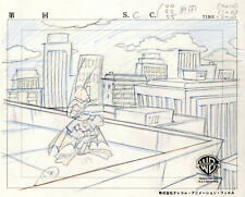 Warner Brothers-Tiny Toons Adventures-Batduck- Original Production Drawing picture