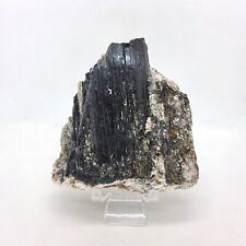 Tourmaline, matrix, mica, display, specimen, mineral, rock, black, #R-5494 picture