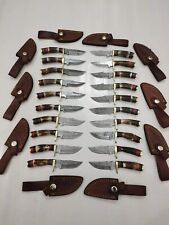 LOT OF 20, 6 inches Handmade Damascus Steel Skinner Knives in Stag horn W/Sheath picture