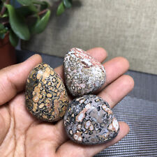 3pcs Natural Leopard stone Rough Crystal Quartz Tumbled 85g A1385 picture