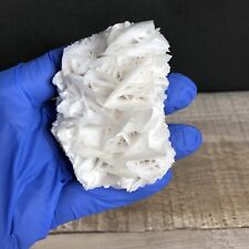 115g  White Rose Calcite Crystal Blade Specimen Real Natural GG-18 picture