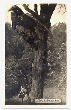 1909 Exaggeration Postcard by Oscar Erickson Huge bird. picture