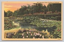 Beautiful Water Gardens in California Linen Postcard No 6117 picture