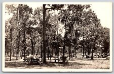 Postcard Picnic Grounds Gold Head Branch State Park Keystone Heights FL RPPC C56 picture