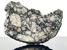 NWA 15658 (10.04g) Meteorite Polished Slice Eucrite Melt Breccia IMCA Sellers picture