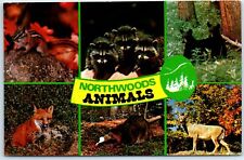 Postcard - Northwoods Animals picture