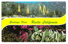 Greetings from Rialto CA Postcard, Posted 1968, Columbia picture