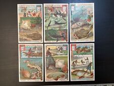 LIEBIG FLEISCH-EXTRACT VICTORIAN TRADE CARD SET  of 6 Ocean Creatures Fish picture