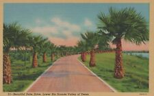 Beautiful Palm Drive Lower Rio Grande Valley Of Texas Linen Vintage Post Card picture