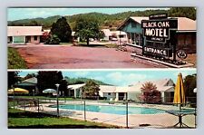 Knoxville TN-Tennessee, Black Oak Motel, Advertising, Antique Vintage Postcard picture