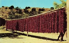 Strings of Red Chili Peppers Hanging Out To Dry - Postcard picture