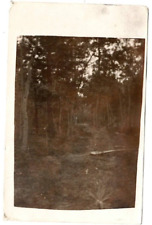 RPPC Pine Forest Trail Dark Unposted Postcard Ghost Image picture