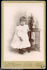  Cabinet Photo - Brooklyn, New York - Cute Child standing by table with plant picture