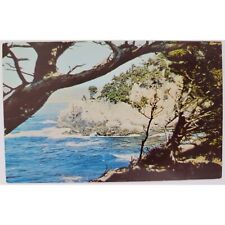 Cypress Cove Point Lobos Reserve State Park California Postcard Seascape Chrome picture