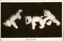 Antique Teddy Bears Posing Playing Vintage Real Photo Postcard picture