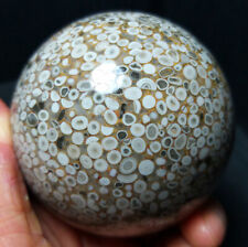TOP 539G 72mm Natural Marine Jasper Ecological Sphere Ball Madagascar A1587 picture