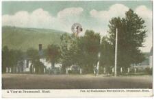 Drummond Montana MT (Granite County) Town View With Windmill 1909 picture
