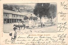 CHILE Talcahuano Plazuel del Jardin Town View Ox Cart 1902 UDB Postcard picture