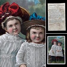 1889 Lydia E. Pinkham's Grandchildren & Blood Purifier Ad Victorian Trade Card picture