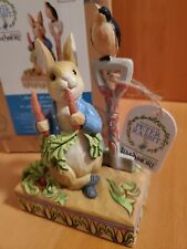 Enesco Jim Shore Heartwood Creek Beatrix Potter Peter Rabbit in Garden.6008743 picture