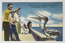 Vintage Postcard Feeding Pelicans On The Million Dollar Pier St. Petersburg, FL picture