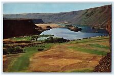 c1960s Sun Lakes State Park Grand Coulee Dam Gant Washington WA Trees Postcard picture