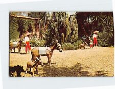 Postcard Mexico Scene, in beautiful Cypress Gardens, Florida picture