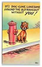 Postcard It's Dog-Gone Lonesome Around the Old Hangout w/o You comic humor U15 picture
