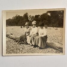 Antique Photo 3 Women On A Log In With Fancy Hats And Dresses Early 1900s picture