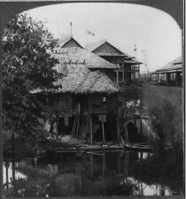 Village in the Philippine section of the World's Fair, St Louis Old Photo picture