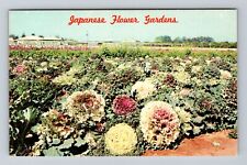Phoenix AZ-Arizona, Japanese Flower Gardens, E Baseline Road Vintage Postcard picture