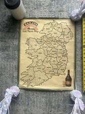 Baileys Irish Cream Irish Name Map Ireland Bar Poster Vintage 1977 picture
