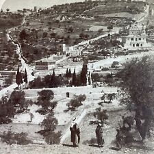 Antique 1899 Ancient Gardens Of Jerusalem Israel Stereoview Photo Card P3896 picture