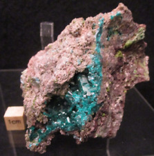 Beautiful Deep Emerald Green Dioptase Crystals on Matrix Republic of Congo picture