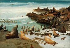 Oil painting Seal-Rocks-Farallons-1872-Albert-Bierstadt Sea birds sea lions sea picture