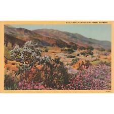 Cholla Cactus and Desert Flowers c.1930's Postcard 2T5-584 picture