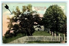 1917 The Old Charter Oak Fell Aug 12 1856 Hartford Connecticut Vintage Postcard picture