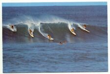 Surfing In Hawaii Postcard  picture