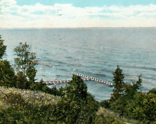 Vintage Postcard Along the Shore Edgewater Park Boat Dock Trees Cleveland Ohio picture