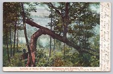 Solitude At Rocky Glen Wilkes Barre Pennsylvania Undivided Back Postcard c1907 picture