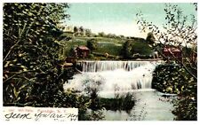 Mill Falls Ferndale New York NY Moore & Gibson Co. Postcard 1905 picture