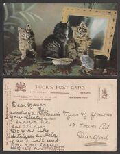 Old Cat Postcard – Kittens – Tuck's Landor's Cat Series #6495, Cat Studies picture