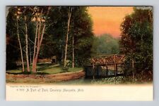 Marquette MI-Michigan, Park Cemetery, Bridge, Vintage Postcard picture