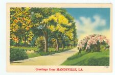 MANDEVILLE,LOUISIANA-GREETINGS-ROAD/TREES-LINEN-#17130-(LA-M) picture