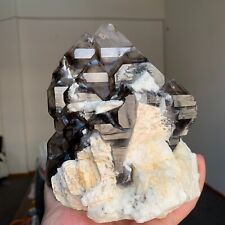 Museum level Rare Natural Smoky Quartz Skeleton Crystal Cathedral Specimen+Stand picture