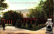 Great Mormon Tabernacle, Salt Lake City Utah c1910s  Unposted Postcard picture