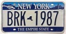 Expired New York 2001-2009 Niagara Falls NYC Skyline License Plate BRK 1987 picture