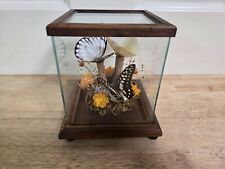 VTG 1979 JON CAROL 5X5 THREE BUTTERFLY FLOWERS CLEAR BOX WOOD FRAME BASE LABEL picture